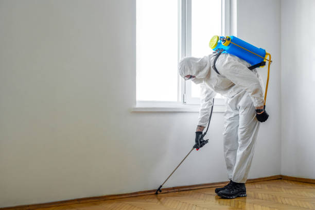 Best Residential Pest Control  in Smithfield, NC